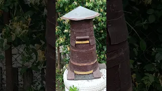 как становятся пчеловодами
