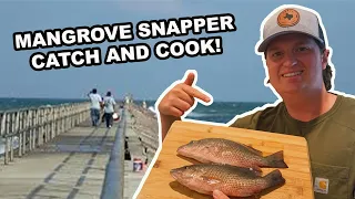 Mangrove Snapper CATCH AND COOK! (Fishing the Packery Channel in Corpus Christi, Texas)