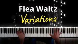 Flea Waltz Variations / Flohwalzer (Piano Cover)