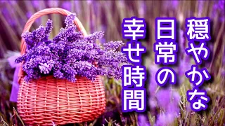 《穏やかな日常の幸せ時間》 幸福ホルモンが活性化し自律神経が整う優しいピアノ曲集、心が落ち着く  ( リメイク版 )