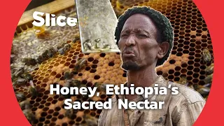 Ethiopia : Honey Cultivation, an Ancestral Knowledge | SLICE