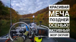 Красивая Меча осенью! От Шилово до Ишутинского городища на большой ПВХ лодке!