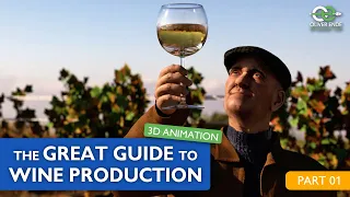 The great guide to wine production - PART 1 - 3d animation by Oliver Ende