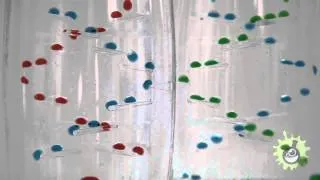 Научные игрушки. Цветные пузырьки в движении!