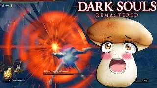 Dark Souls REMASTERED Artorias DLC: The LAST DLC Boss "Black Dragon Kalameet" (#17)