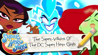 The Super-Villains Of The DC Super Hero Girls | DC Super Hero Girls