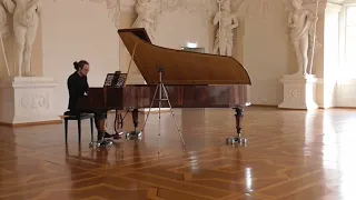 Beethoven's Hammerklavier Sonata played on Liszt's Piano