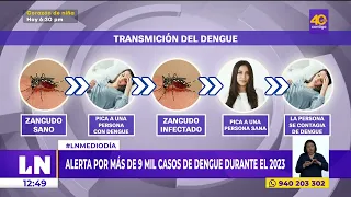 Dengue en Perú: Alerta por más de 9 mil casos de dengue en 2023