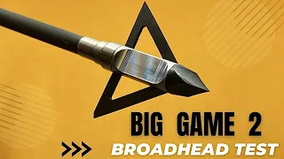 MASSIVE BROADHEAD: BIG GAME 2, by Dead X Bowhunting, TEST--One of the Best in 2022