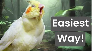 Teach Your Cockatiel or Pet Bird This Whistle Technique the Easy Way! Workin on the railroad