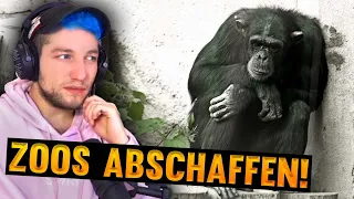 So VERWERFLICH sind ZOOS | Rezo REAGIERT auf Alicia Joe