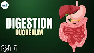 Life Processes - Lesson 07 | Role of Duodenum - in Hindi (हिंदी में ) | Don't Memorise