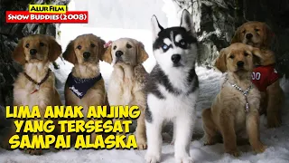 Petualangan Kelima Anak Anjing Yang Mencari jalan Pulang | ALur Cerita Film SNOW BUDDIES (2008)