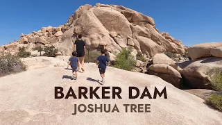 Hiking Barker Dam Trail in Joshua Tree National Park, California with Kids - 4K