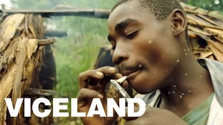 Pot, Pygmys, and Rebels in the Congo: WEEDIQUETTE - Cannabis in Congo (Trailer)