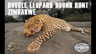 Zimbabwe Double Leopard Hound Hunt 2022