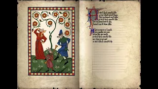 Ai Vist Lo Lop (Occitan-French #FolkSong, 13th Century)