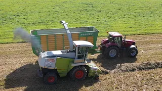 Grasernte 2021 häckseln & silieren - Grassilage für BGA / CLAAS 860 Case  Steyr  german farmers