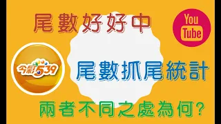 539尾數抓尾統計使用教學 | 尾數抓尾統計與尾數好好中不同之處