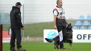 W.Ch.FCI IPO 2016 - Urri z Kurimskeho haje - B:96 / best obedience