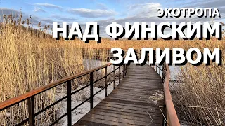 Два обустроенных пешеходных маршрута в черте Петербурга