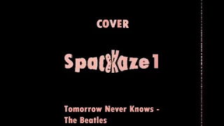 Tomorrow never knows - The Beatles cover