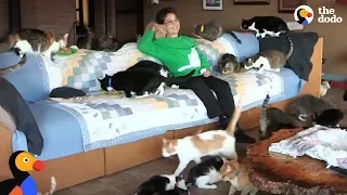 MOST EPIC CAT LADY: Woman Shares Her Home With Hundreds Of Rescue Cats | The Dodo