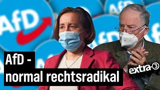 Putin, Assad und die AfD: Ein Herz für Autokraten | extra 3 | NDR