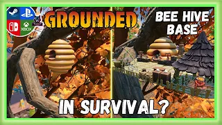 Grounded: Bee Hive Base Location In Survival NO Handy Gnat!