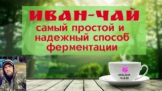 ИВАН-ЧАЙ простой, надежный рецепт как делать. Ферментации для новичков, в домашних условиях.