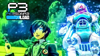 Protagonist Makoto Yuki Persona Awakening - Persona 3 Reload