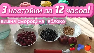 Настойка за 12 часов!