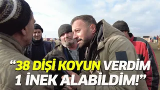 38 Dişi Koyun Verdim Bir İnek Aldım - Türk Aslanları