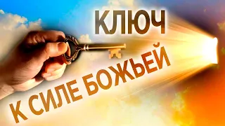 #229 Ключ к силе Божьей - Алексей Осокин - Библия 365 (2 сезон)