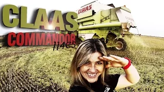 Claas Commandor 114 cs  * rice harvesting 2014 *