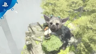 The Last Guardian – Accolades Trailer | PS4