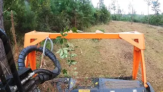 CALL THE COPS BECAUSE WE ARE MURDERING THESE TREES WITH THE TMC CANCELA MULCHER!