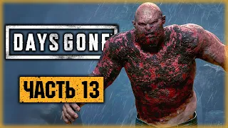 DAYS GONE #13 ☣️ - ФРИК-ДЖАГГЕРНАУТ и Срочная Операция Бухарю! - Жизнь После (2021)