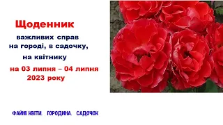 Щоденник важливих справ на городі, в садочку, на квітнику 03-04 липня 2023 року