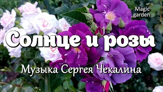 Солнце и розы - Музыка Сергея Чекалина. Красивая мелодия. Музыка для души.