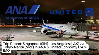 Trip Report | ANA & United Economy | Singapore (SIN) - Los Angeles (LAX) via Tokyo-Narita (NRT)
