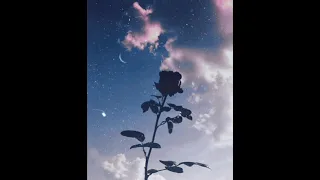 Ekhon ami onek valo | slowed&reverbed | remix | aesthetic 🌸