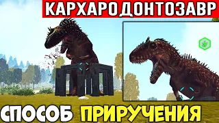 ARK: Проверяю СПОСОБ #10 Приручения Кархародонтозавр! Выживание на карте Caballus АРК/ARK