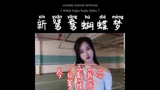 Lagu Mandarin 新鸳鸯蝴蝶梦 xin yuan yang hu die meng ( mimpi kupu-kupu baru ) lyrics terjemahan Indonesia