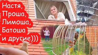 VLOG Начинаю разбирать вещи и делать уборку