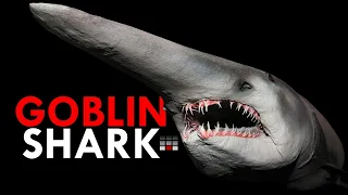 Goblin Sharks Are Neutral Evil | The Shark Alignment Chart