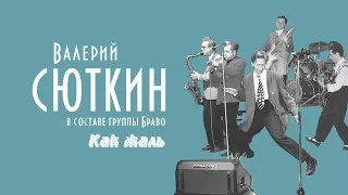 Валерий Сюткин / Группа "Браво" — "Как жаль" (LIVE, 1991)