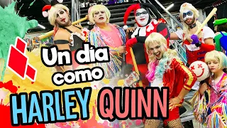 Un dia como HARLEY QUINN / AVES DE PRESA / Memo Aponte