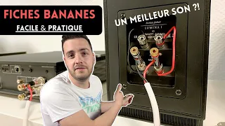 Comment utiliser des fiches bananes et remplacer les straps pour un MEILLEUR SON