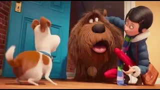 The Secret Life Of Pets - Official® Trailer 3 [HD]